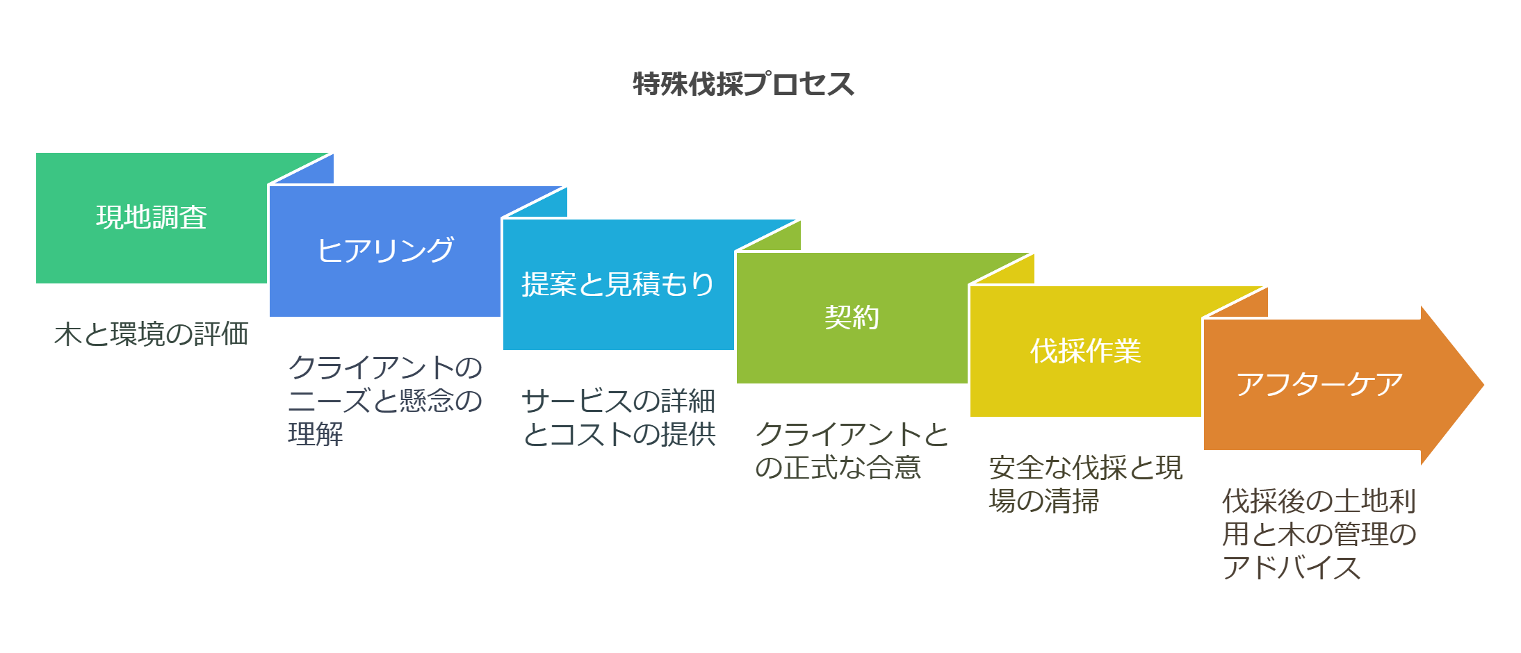 ロープアクセスによる特殊伐採の技術を示した図解